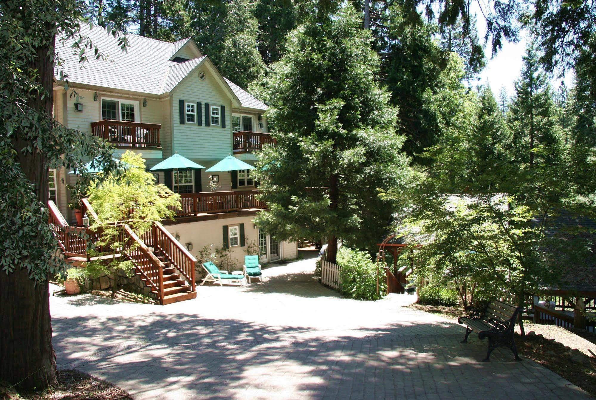 Mccaffrey House Bed And Breakfast Inn Twain Harte Exterior photo